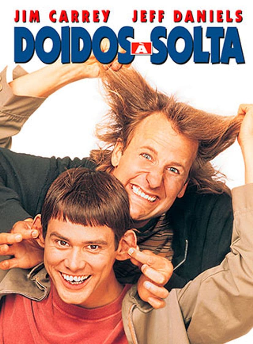 Película Dumb and Dumber