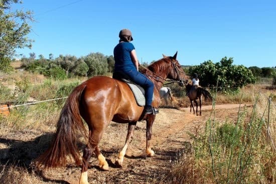 Moda Welcome to Tiffany's Riding Centre