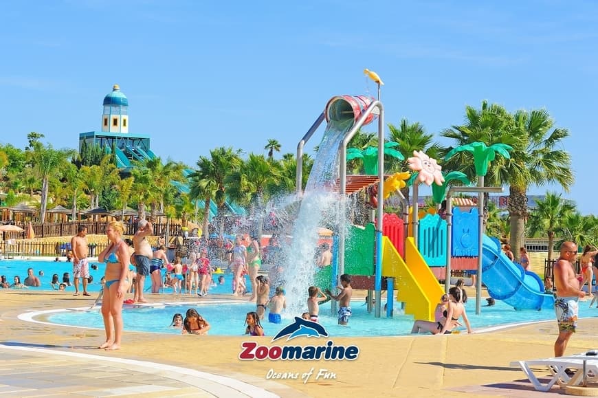 Moda Zoomarine - Oceans of Fun - Water Theme Park, Amusements and ...