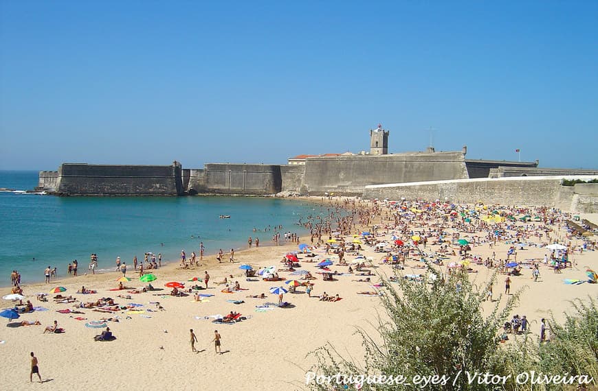 Lugar Torre's beach