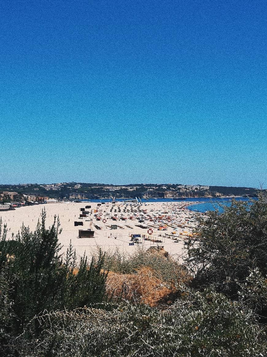 Place Praia da Rocha