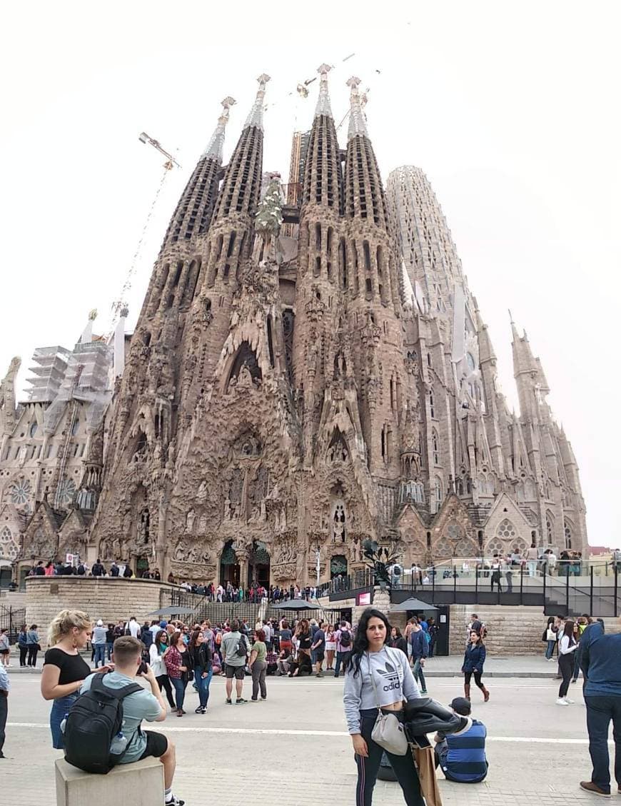 Lugar Basílica Sagrada Familia