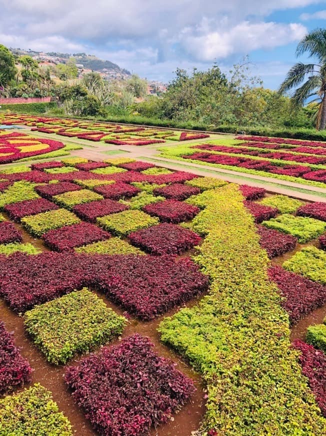 Lugar Botanical Views