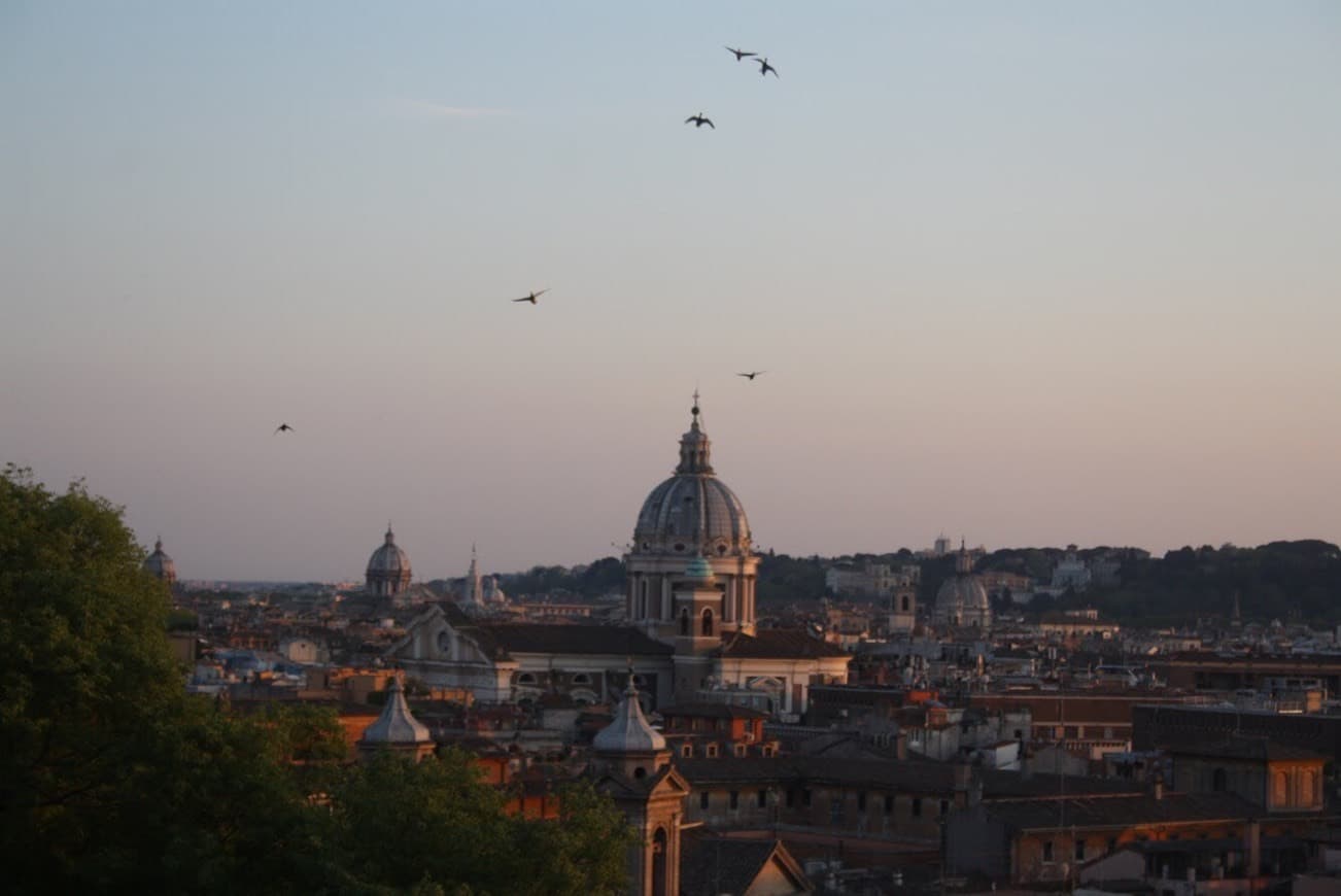 Lugar Terrazza Viale del Belvedere