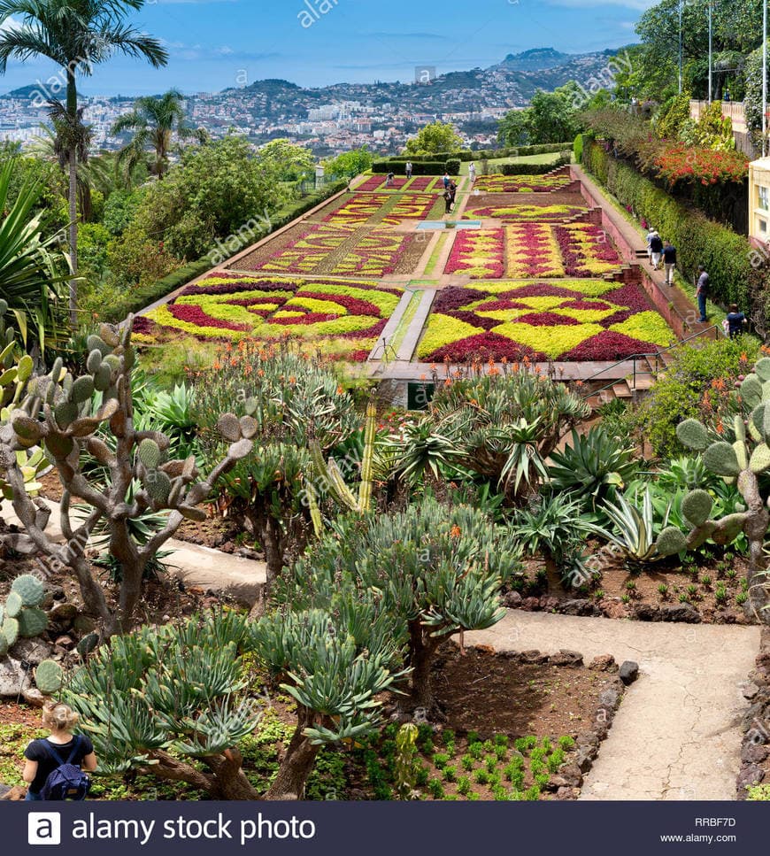 Lugar Jardim Botânico