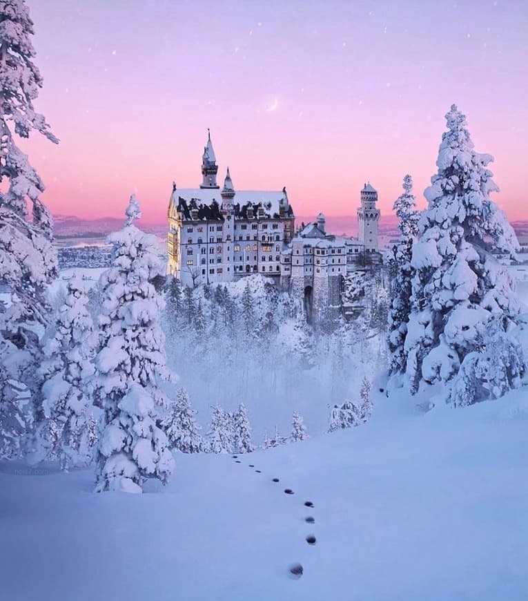 Moda Neushwanstein Castle ❄️