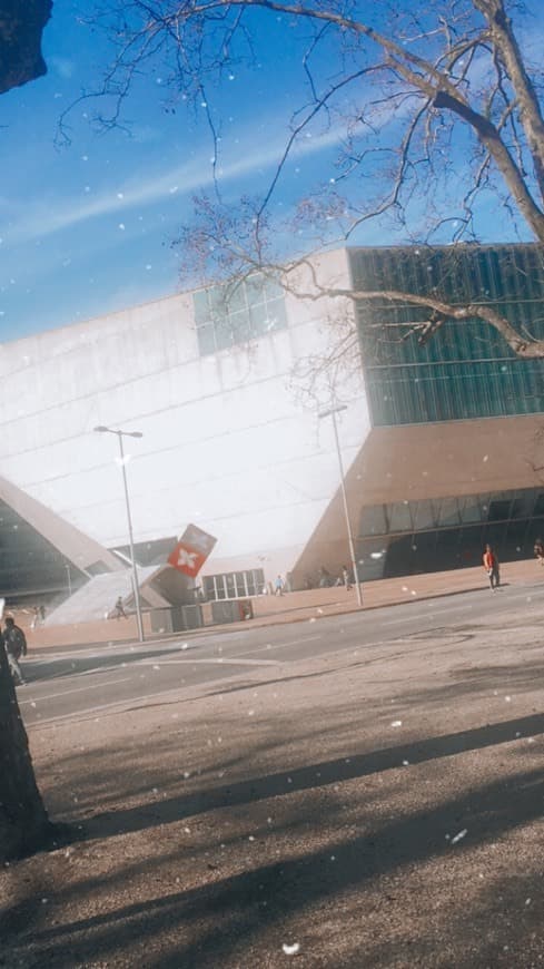 Lugar Casa da Musica