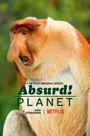 Serie Absurd Planet