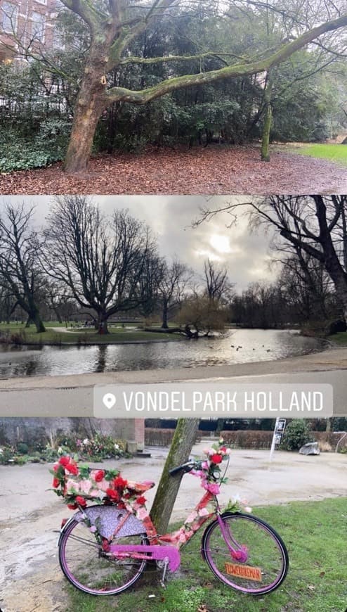 Place Vondelpark 