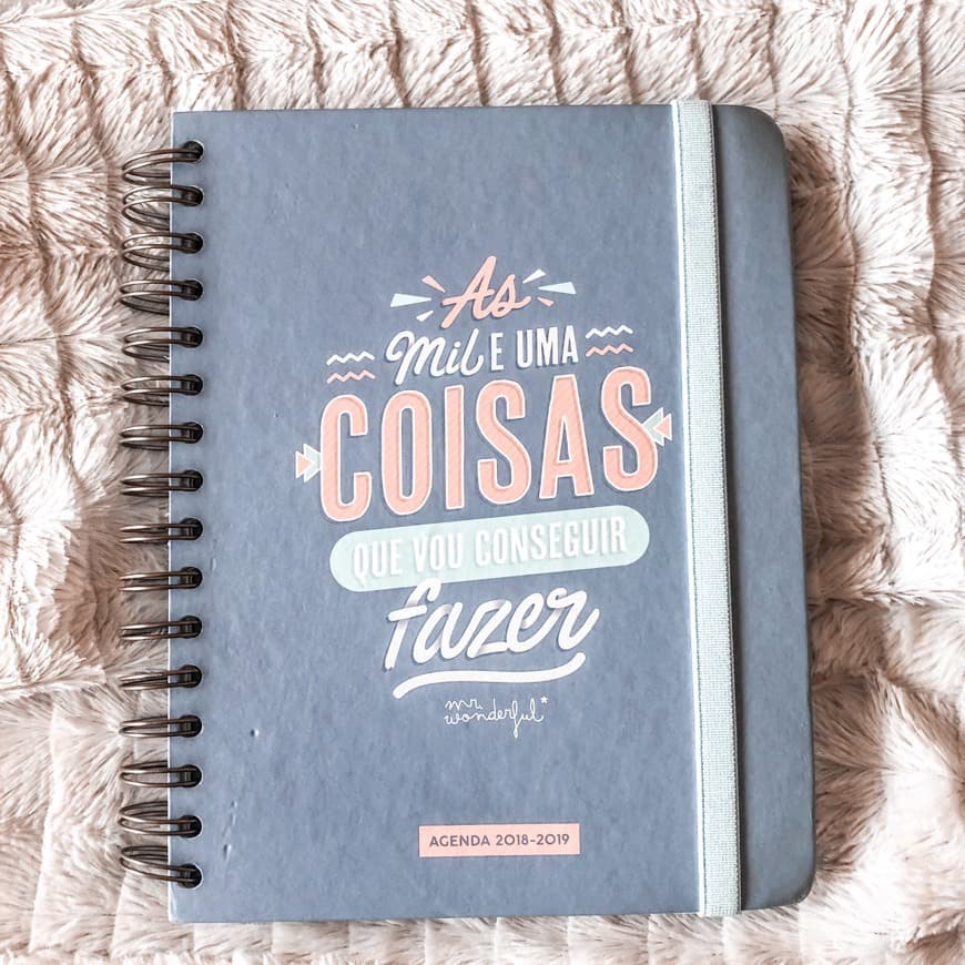 Producto Agenda 2018-2019 Mr Wonderful