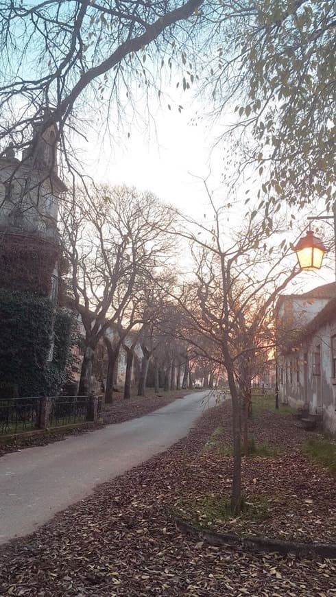 Lugar Quinta da Cardiga