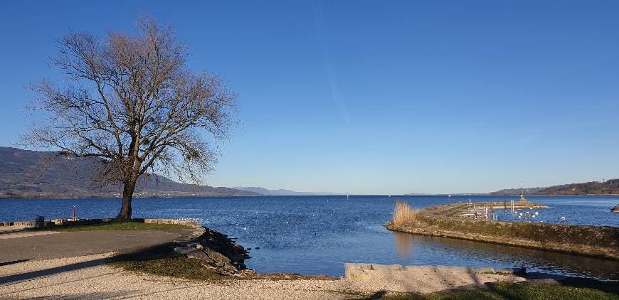 Lugar Lac de Neuchâtel à Yverdon-les-Bains 