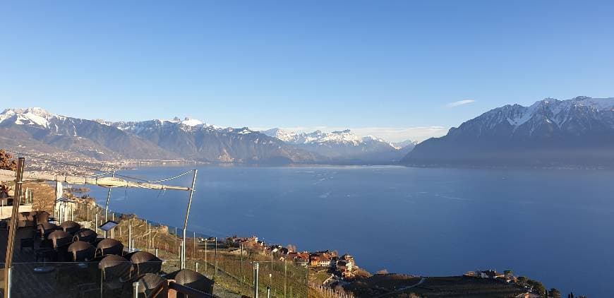 Lugar Lac Léman à Chexbres