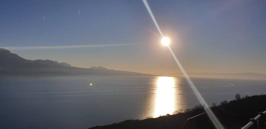 Lugar Lac Léman à Chexbres