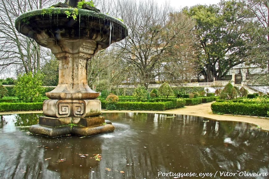 Lugar Jardim Botânico da Universidade de Coimbra