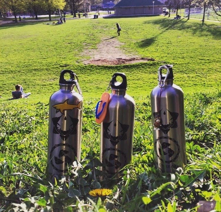 Place Christie Pits Park