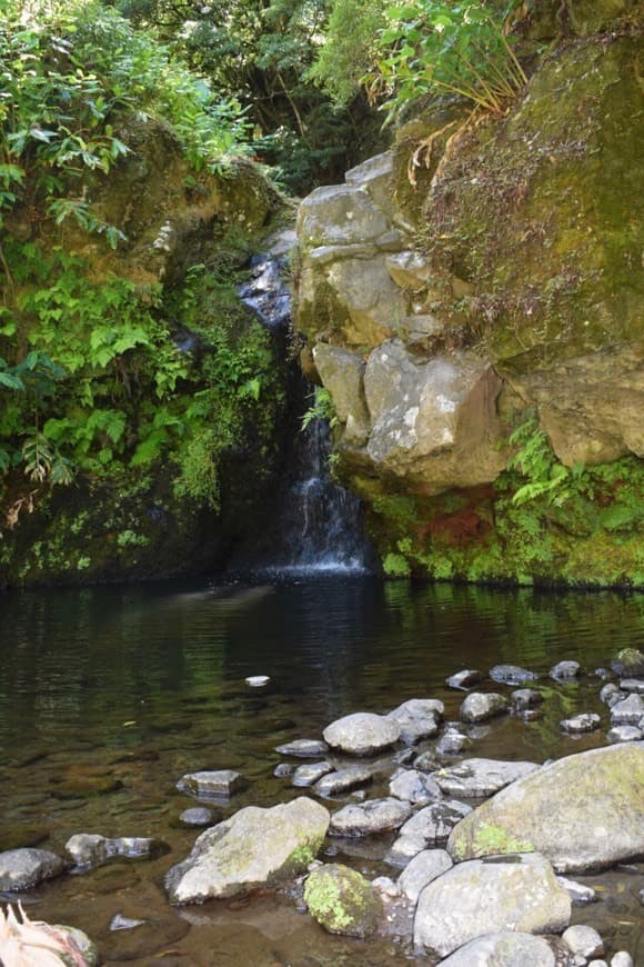 Lugar Parque Natural da Ribeira dos Caldeirões