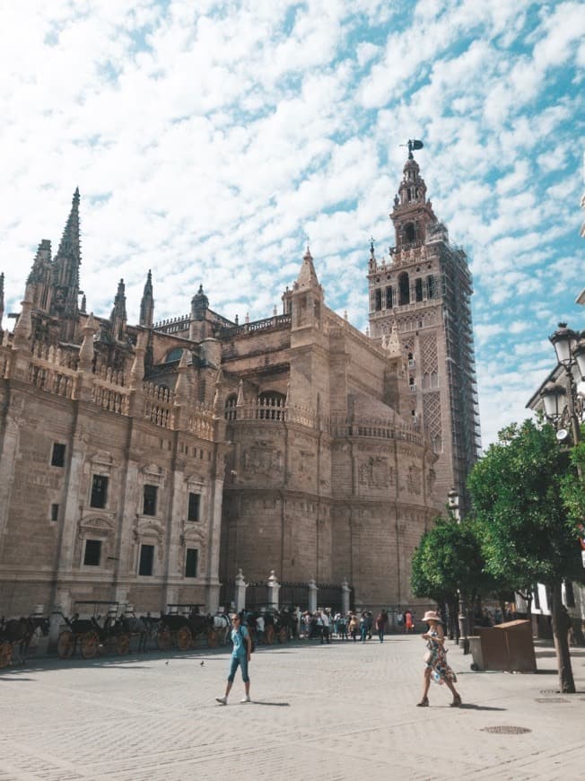 Place Catedral de Sevilla