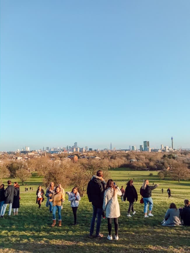 Place Primrose Hill