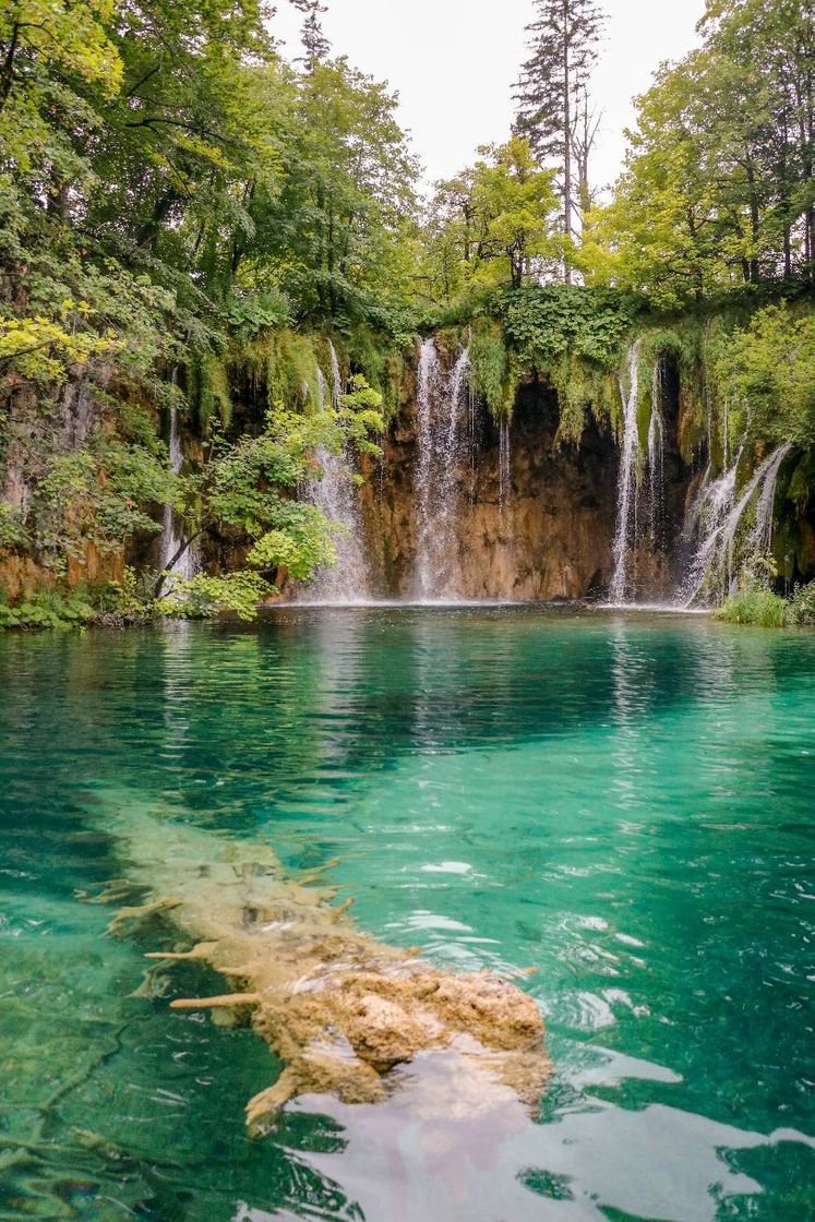 Lugar Parque Nacional de los Lagos de Plitvice