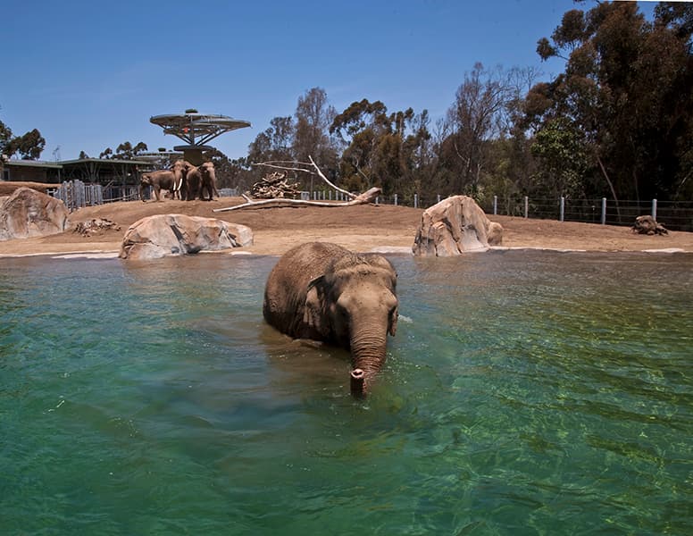 Place San Diego Zoo