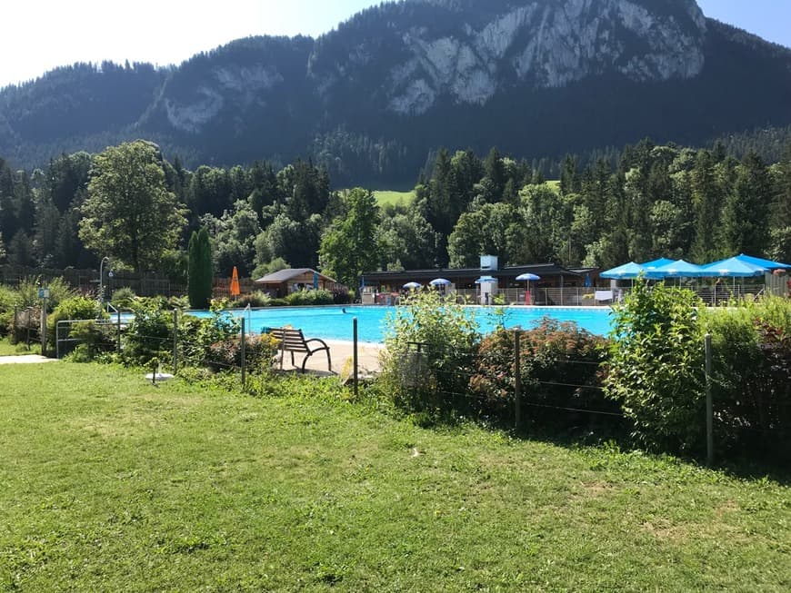 Lugar Piscine Du Berceau