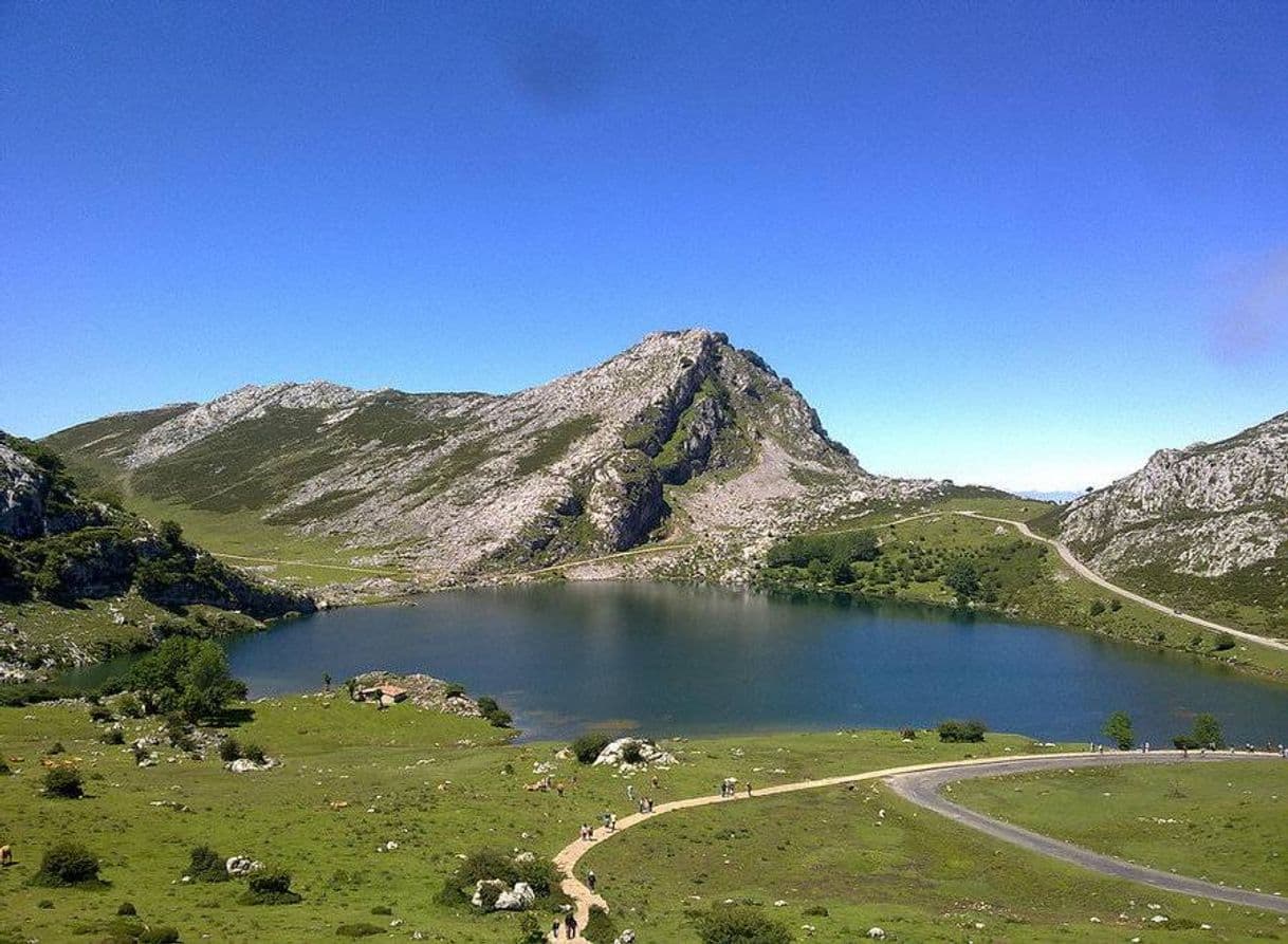 Lugar Lagos de Covadonga