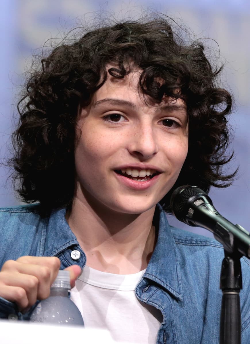 Fashion Finn Wolfhard - Wikipedia