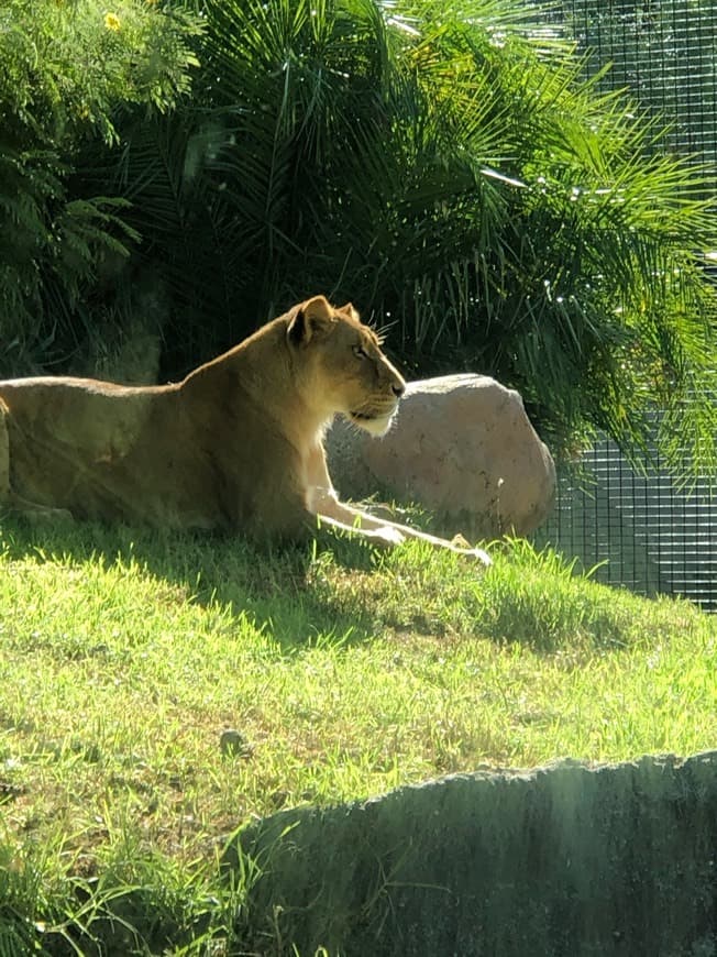 Place Perth Zoo