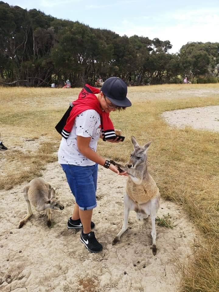 Place Phillip Island Wildlife Park