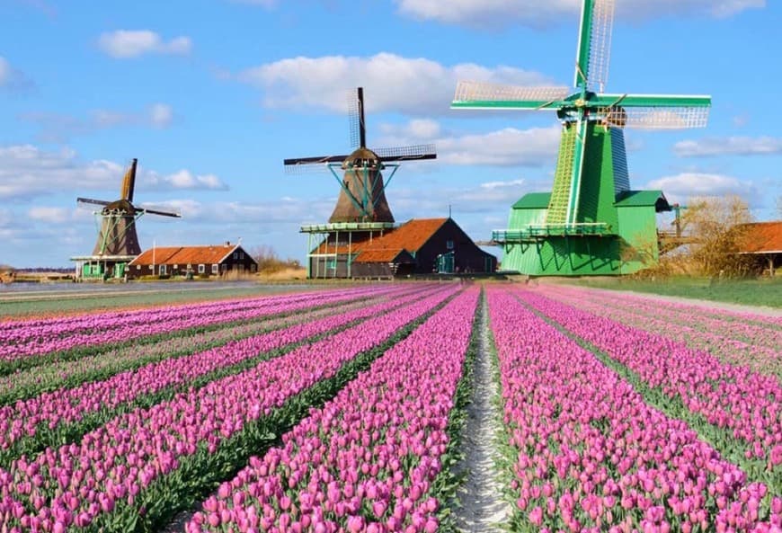 Lugar Zaanse Schans