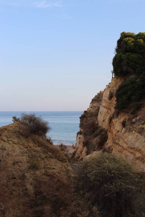 Lugar Praia da Rocha