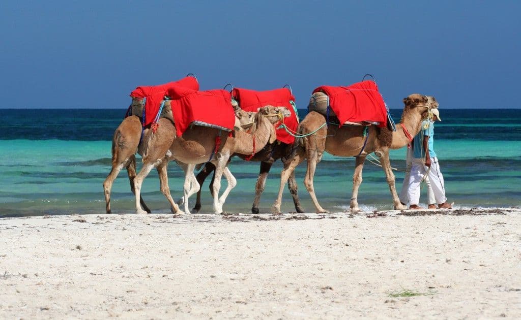 Place Djerba