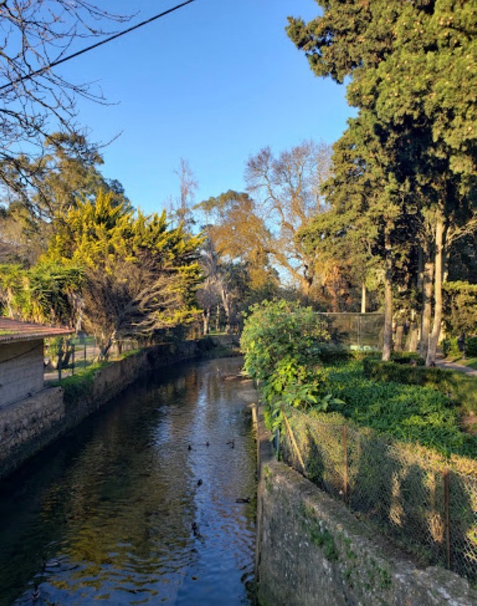 Lugar Oeiras Municipal Garden