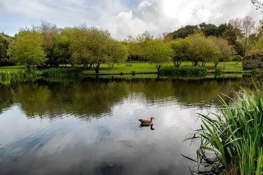 Lugar Parque da Cidade