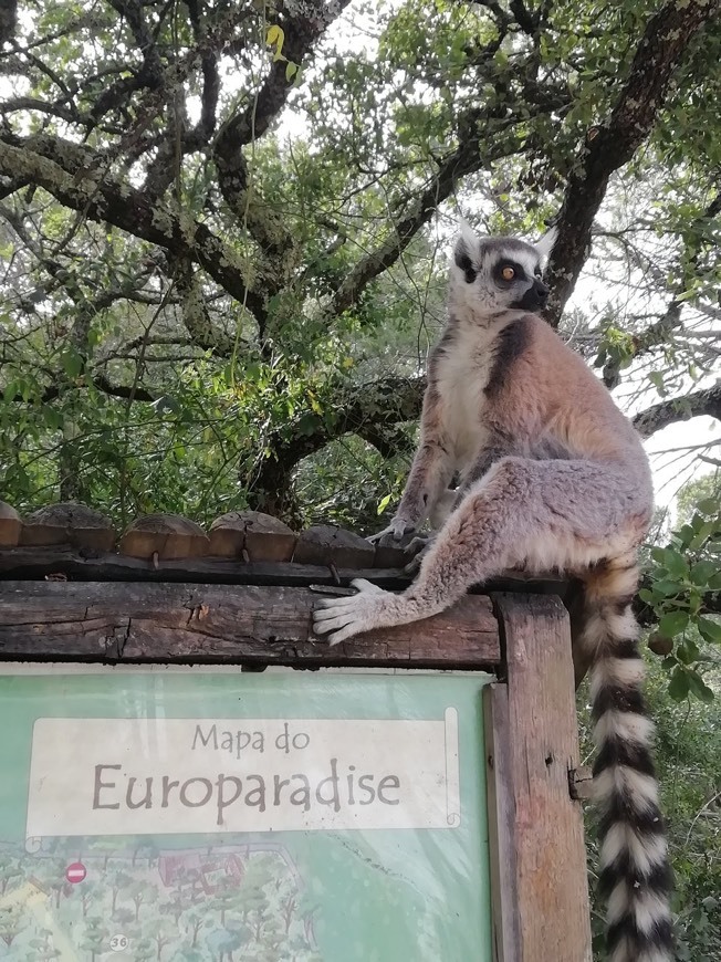 Place Europaradise | Parque Zoológico