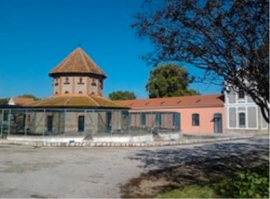 Place Instituto Politécnico de Coimbra - Escola Superior de Educação de Coimbra