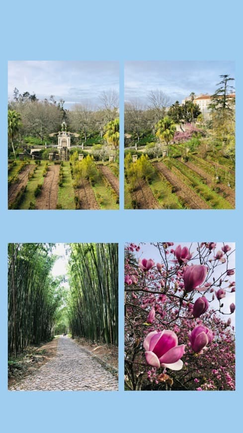 Lugar Jardim Botânico da Universidade de Coimbra