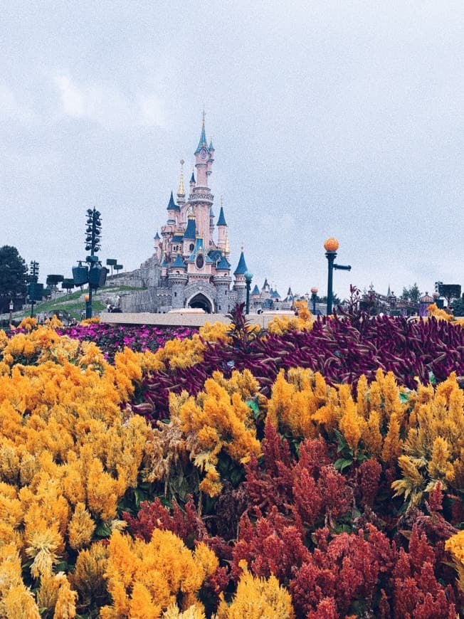 Lugar Disneyland Paris