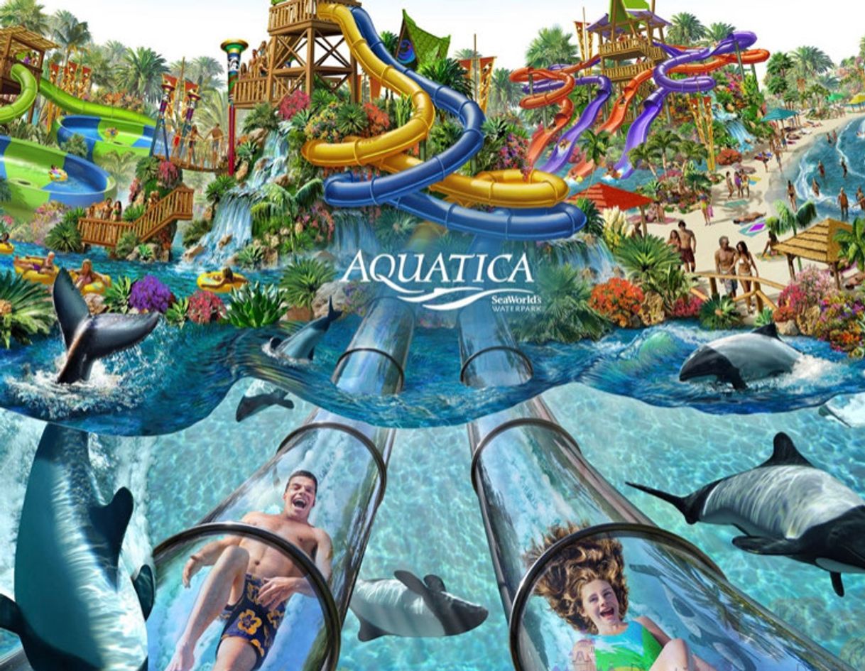 Place Aquatica Orlando - Florida Water Park | 