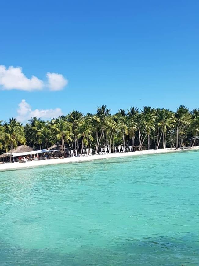 Lugar Punta Cana