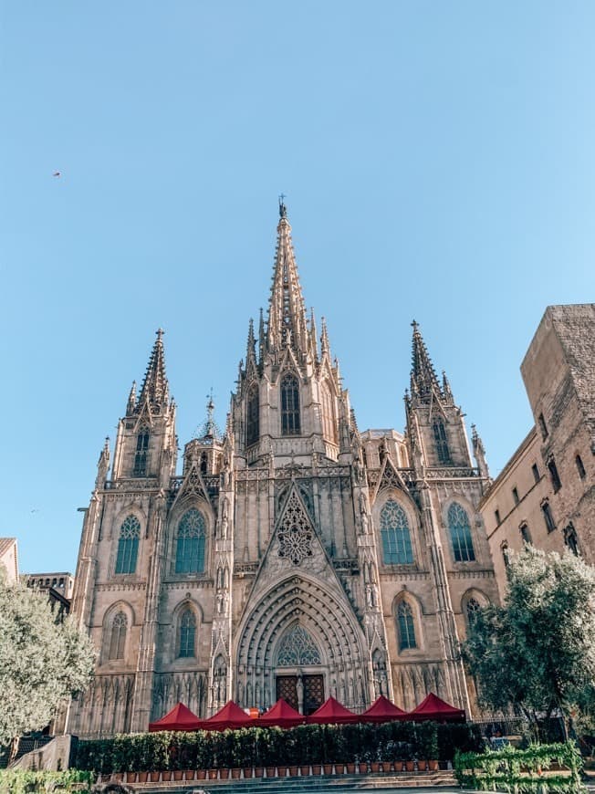 Lugar Catedral de Barcelona