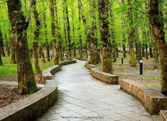 Place Serra de Montejunto