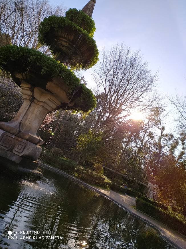 Lugar Jardim Botânico da Universidade de Coimbra