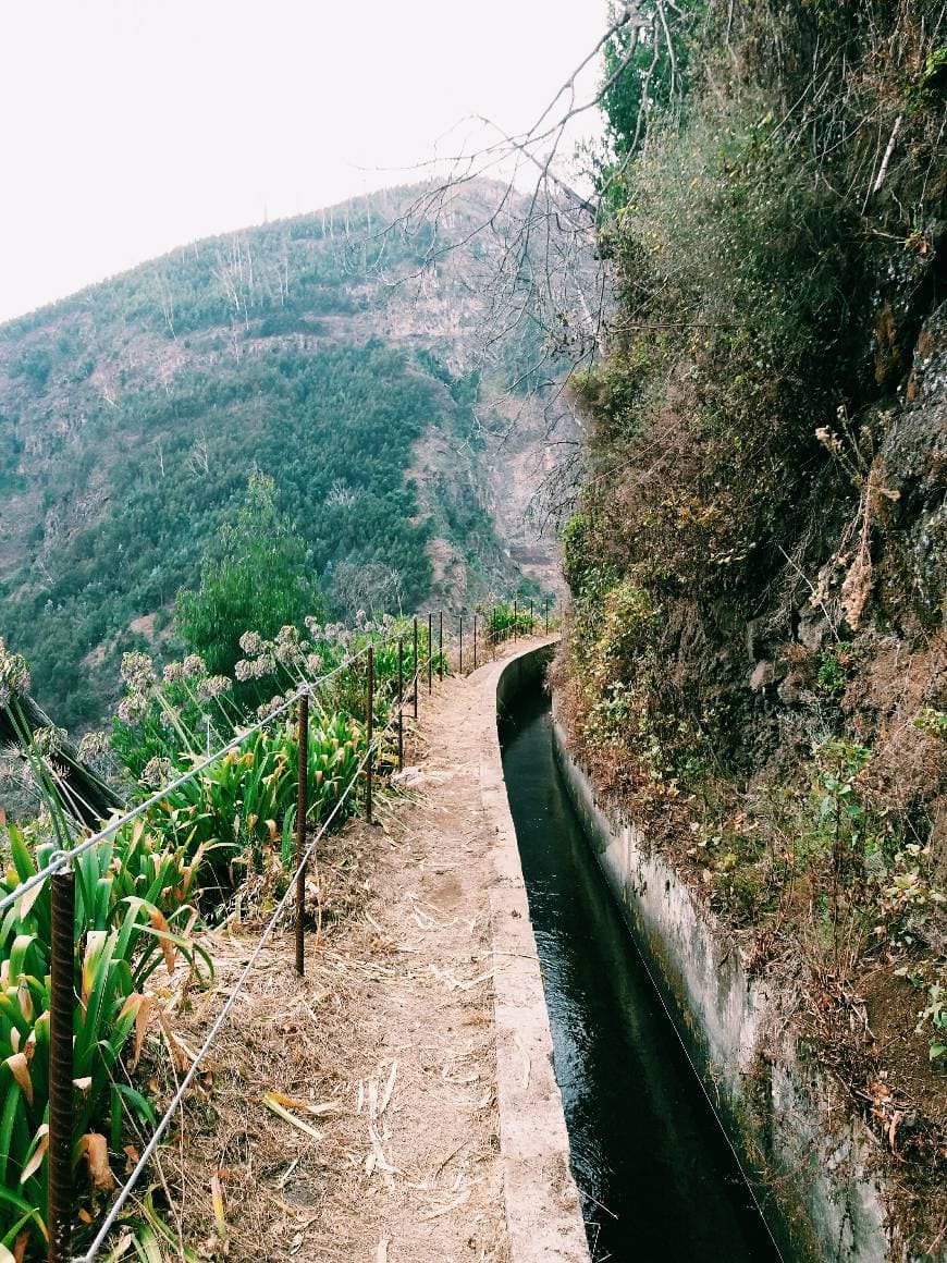 Lugar Levada dos Tornos