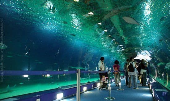 Lugar SEA LIFE Porto