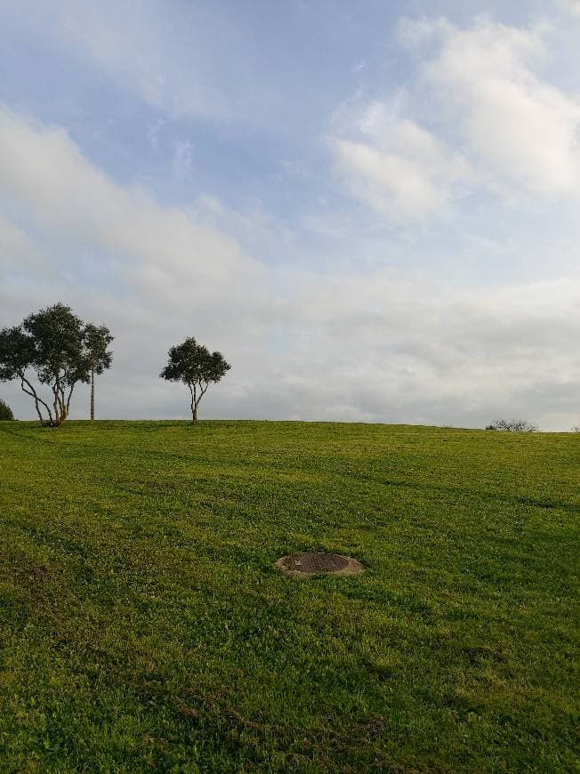 Lugar Parque da Bela Vista