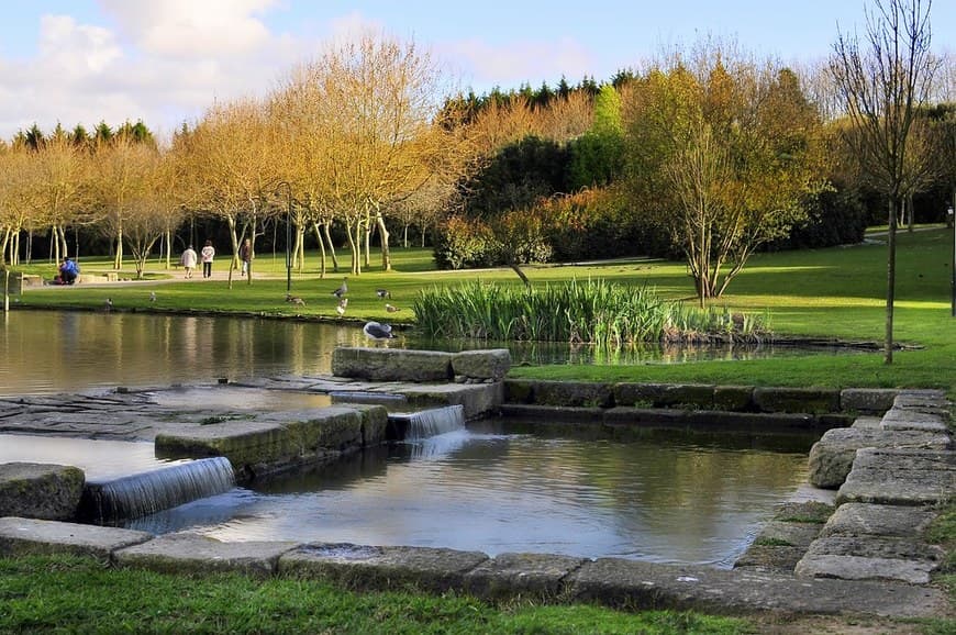 Lugar Parque da Cidade