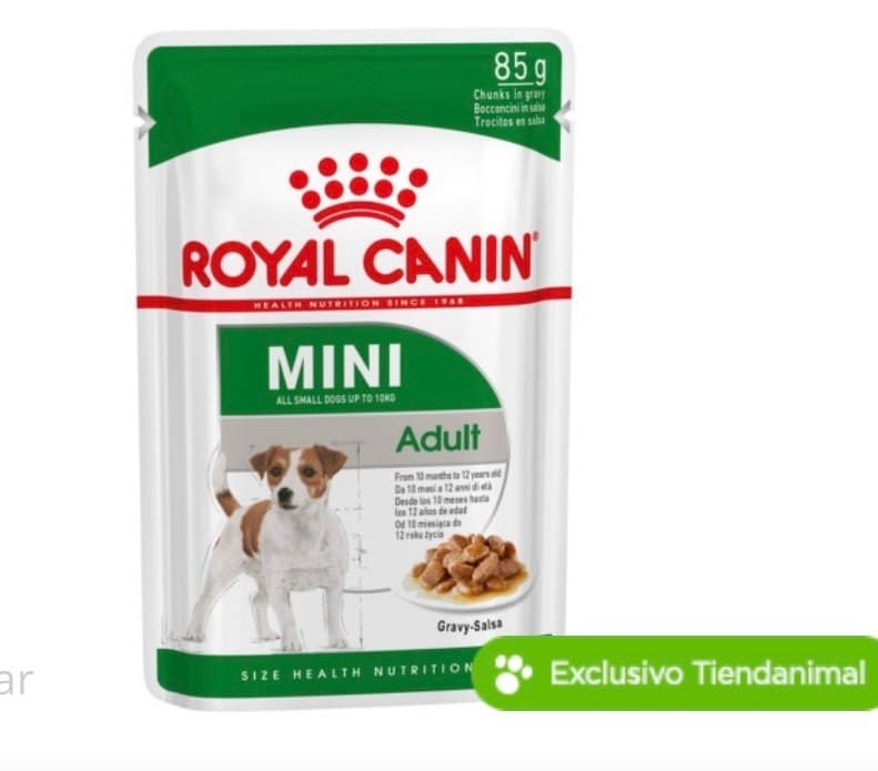 Fashion Comida húmida Royal Canin