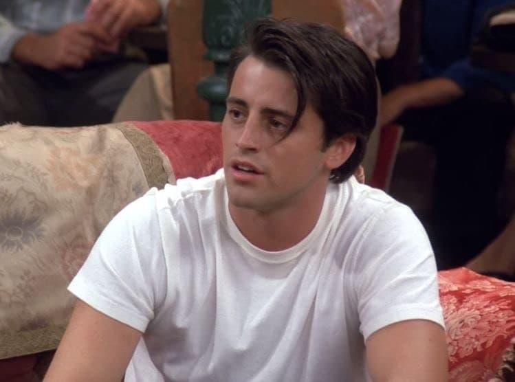 Fashion Matt LeBlanc